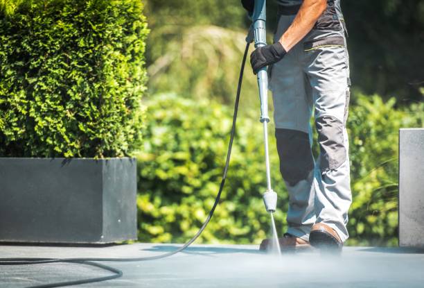 Best Sidewalk and Walkway Cleaning  in Sherwood, WI